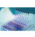 lesson 2：RNA Isolation  (4课时）